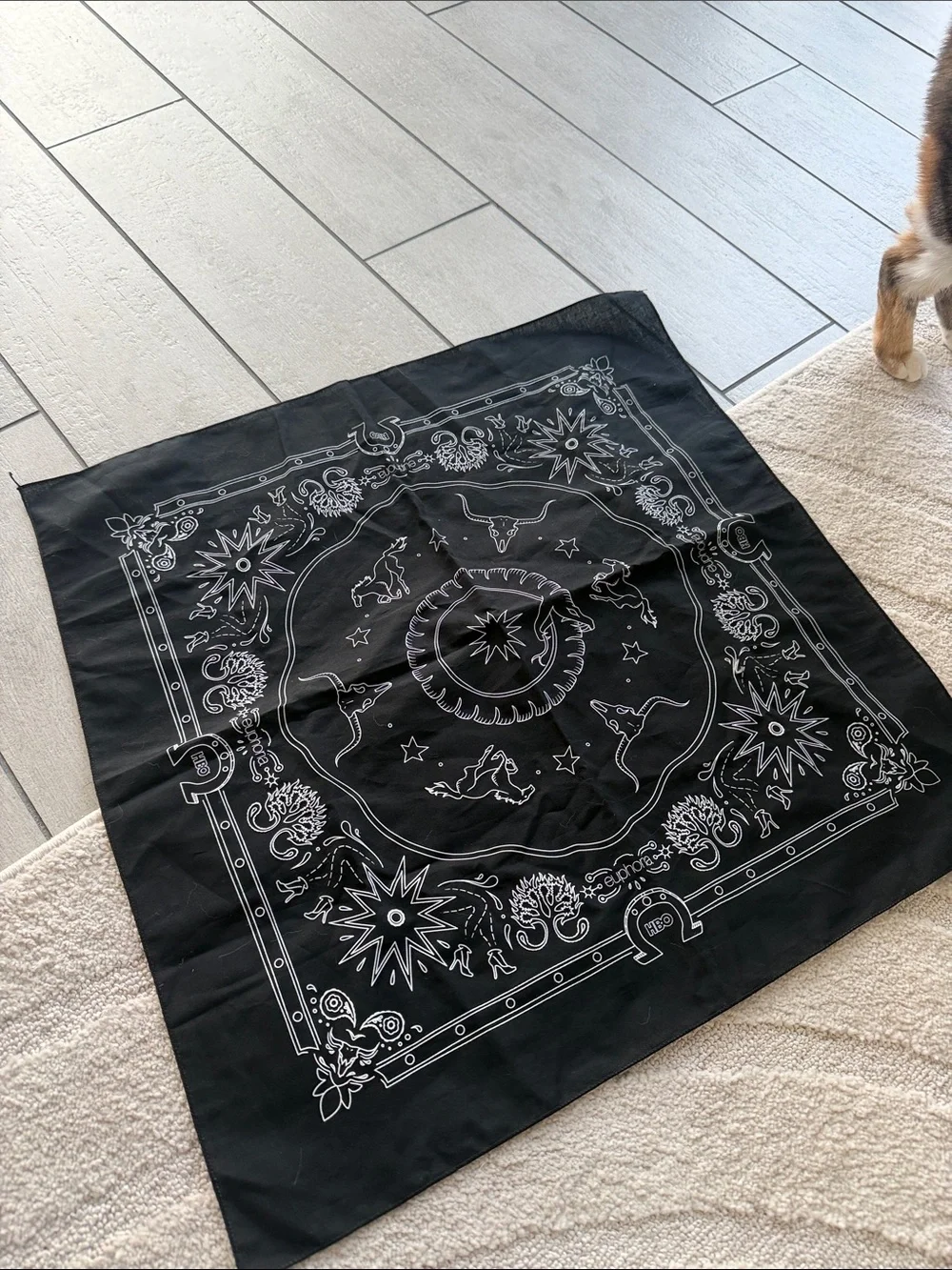 Rare Euphoriq Black Bandana Scarf with White Celestial Print